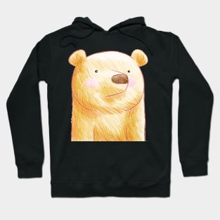 It's a Family of Bears - Grizzly Bear Hoodie